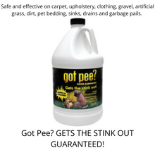 Load image into Gallery viewer, Got Pee? Odor Eliminator
