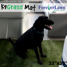 Load image into Gallery viewer, Got Pee? K9Grass® Mat Bundle- Artificial Grass for Dogs
