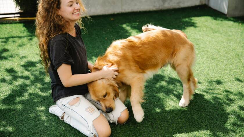 dog-friendly artificial grass