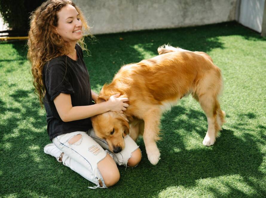 dog-friendly artificial grass
